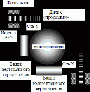 Мышь